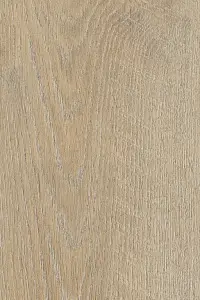 VEPO DUB TREND