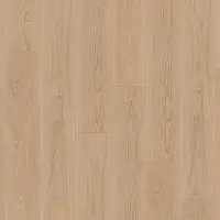 ID 55-6.1 PEARL OAK CANDIS