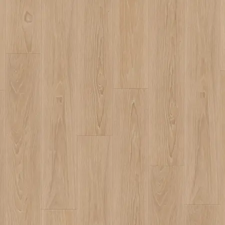 ID 55-6.1 PEARL OAK CANDIS
