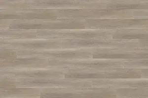 XL DUB KATROVANÝ ŠEDÝ LEPENÁ 0,3 79983