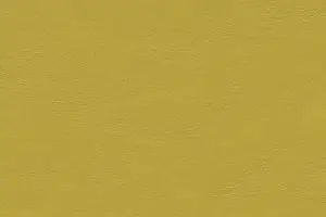 FORBO MARMOLEUM HOME H62