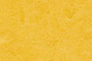 FORBO MARMOLEUM HOME H64