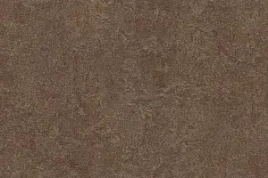 FORBO MARMOLEUM HOME H71