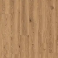 ID 55-3.1 Creek Oak BROWN
