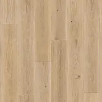 ID 55-8.1 HIGHLAND OAK GOLDEN
