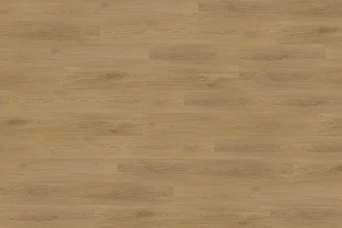XL DUB MEDOVÝ LEPENÁ 0,4 9947