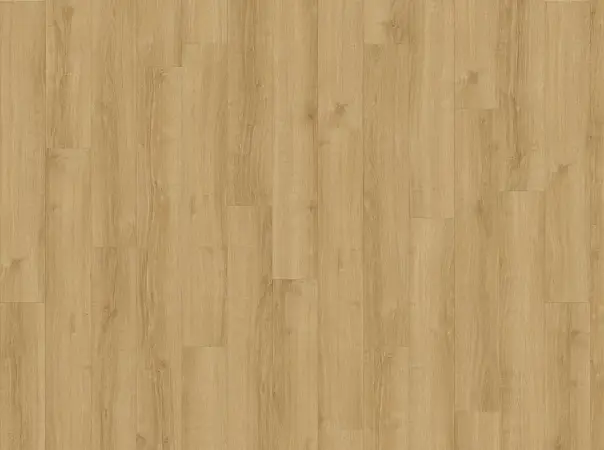 VITALITY ESSENTIAL DUB ELLIOT STŘEDNÍ PŘÍRODNÍ VIV40426