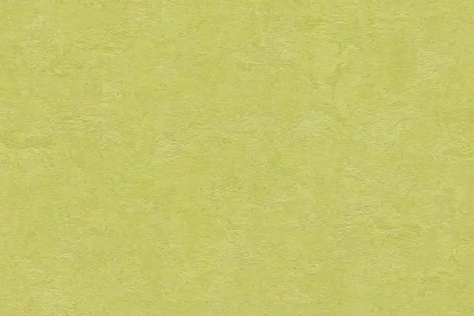 FORBO MARMOLEUM HOME H66