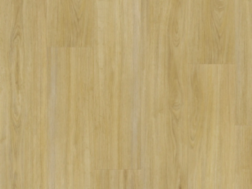 THERMOFIX PRO WOOD DUB PŘÍRODNÍ14174-1